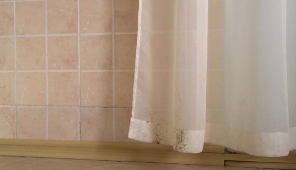 Best Real Estate Mold Inspection  in Braselton, GA