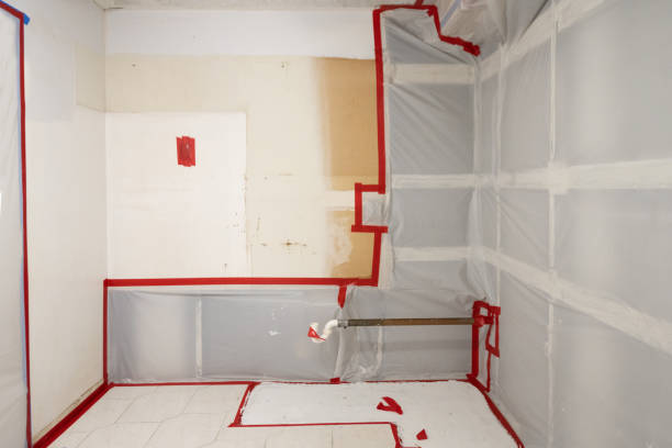 Best Dehumidification Services  in Braselton, GA