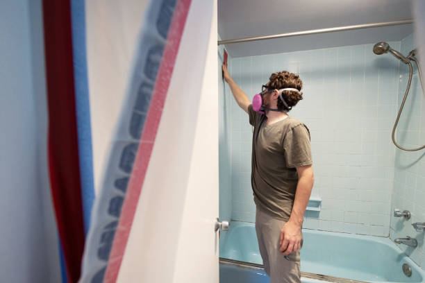 Dehumidification Services in Braselton, GA