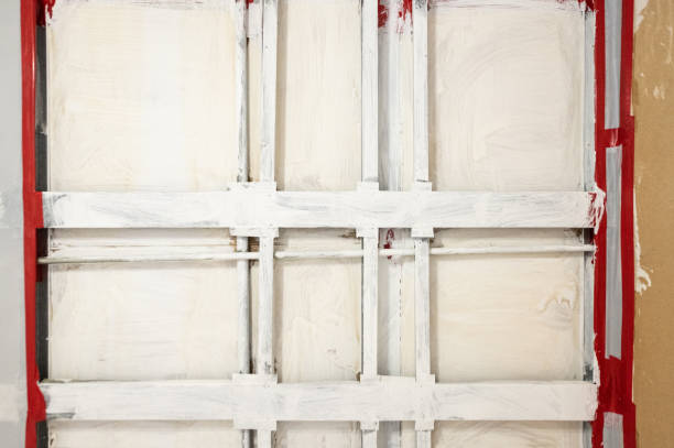 Best Asbestos and Lead Testing During Mold Inspection  in Braselton, GA