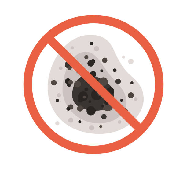 Best Indoor Air Quality Assessment  in Braselton, GA