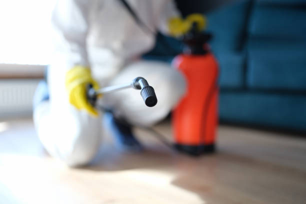 Best Industrial Mold Remediation  in Braselton, GA